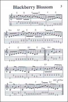 Mandolin Tune Book, Pocketbook Deluxe Series von William Bay im Alle Noten Shop kaufen