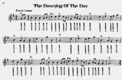 Deluxe Tinwhistle Songbook von Pat Conway 