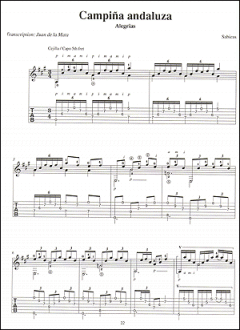 Sabicas von Juan de la Mata 