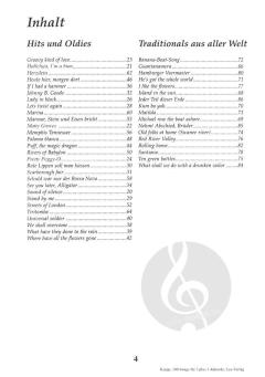 100 Songs für 3 + 3 Akkorde von Frithjof Krepp 