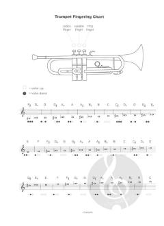 Anthology Vol. 2 von Andrea Cappellari 