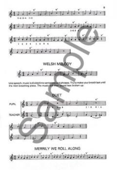 A Beginners Book for the Flute Part 1 von Trevor Wye 