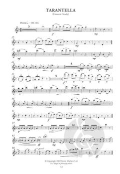 Fun Club Flute von Alan Haughton 