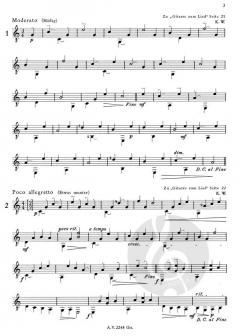 Gitarre allein von Konrad Wölki 