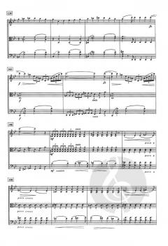 Streichtrio g-Moll von Jean Sibelius für Streichtrio im Alle Noten Shop kaufen (Partitur)