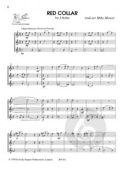 12 Bite Size Pieces von Mike Mower für 2-4 Flöten im Alle Noten Shop kaufen