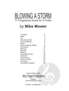 Blowing A Storm von Mike Mower 