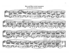 Choralvorspiele Band 1 von Paul Kickstat 