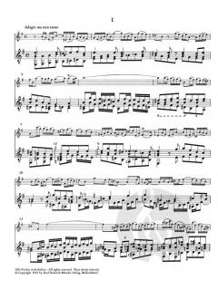 Sonate Nr. 2 e-Moll BWV 1034 (J.S. Bach) 