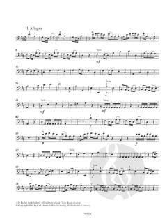 Konzert D-Dur von Johann David Heinichen 