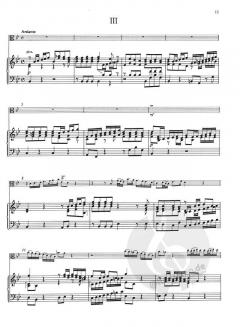 Konzert g-Moll GWV 336 von Christoph Graupner 