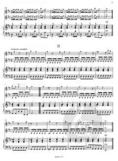 Triosonate D-Dur (Antonio Vivaldi) 