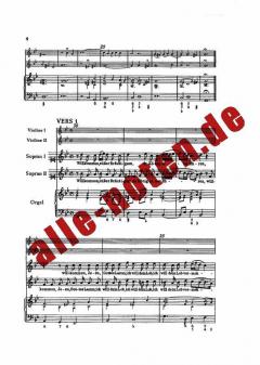 Willkommen, süßer Bräutigam (Vincent Lübeck) 