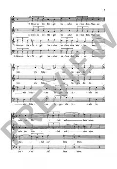 Storm-Lieder Band 2 (Felicitas Kukuck) 