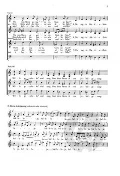 Die Weihnachtsgeschichte in Liedern (Felicitas Kukuck) 