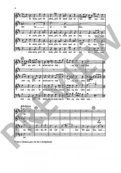 Vier Motetten der Bach-Schule 