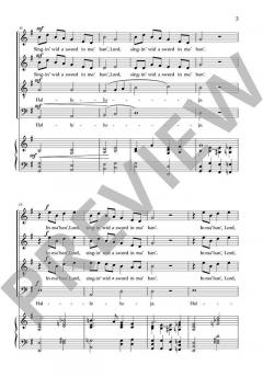 Singin' wid a sword in ma han', Lord (Zsolt Gardonyi) 