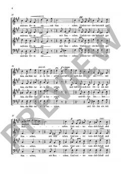 Im Wald, im hellen Sonnenschein op. 3,6 (Fanny Hensel) 