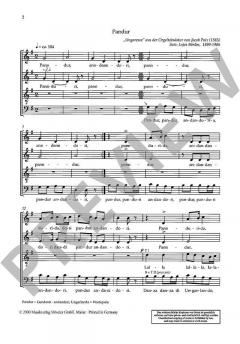 Pandur (Lajos Bardos) 