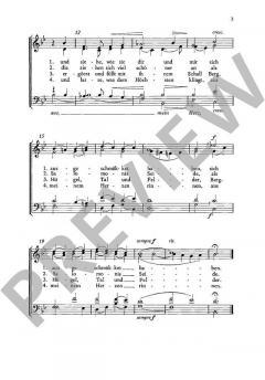 Gebet / Sommerlied / Unser lieben Frauen Traum (Max Reger) 