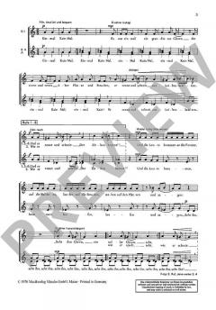 Ballade vom Clown (Erna Woll) 