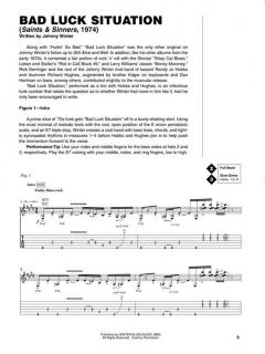 Guitar Signature Licks von Dave Rubin 