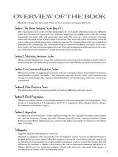 Jazz Guitar Soloing Concepts von Ronald Lemos 