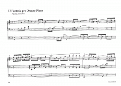 Norddeutsche Orgelmusik aus klassisch-romantischer Zeit: 1780-1860 im Alle Noten Shop kaufen