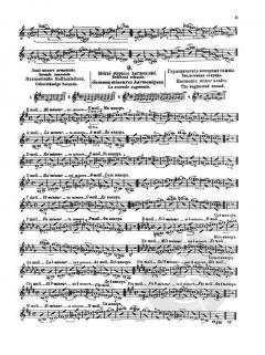 Sevcik Violin Studies Op. 7 Part 1 von Otakar Ševčík im Alle Noten Shop kaufen