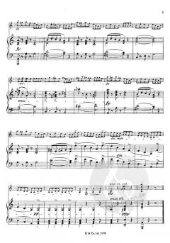 Elfentanz von Ezra Jenkinson 