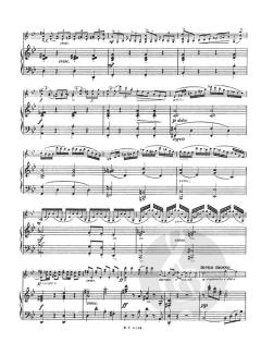 Concerto in G Minor For Violin And Piano Op. 12 von Friedrich Seitz im Alle Noten Shop kaufen