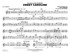 Sweet Caroline von Neil Diamond 