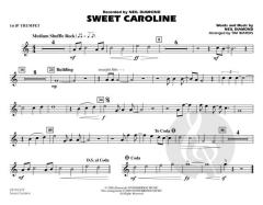 Sweet Caroline von Neil Diamond 