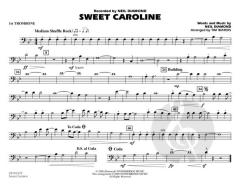 Sweet Caroline von Neil Diamond 