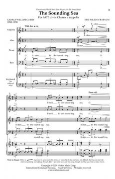 The Sounding Sea von Eric William Barnum 