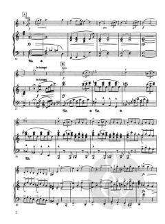 Concerto In A Minor For Violin And Piano Op. 53 von Antonín Dvorák im Alle Noten Shop kaufen