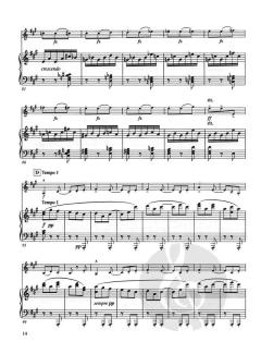 Concerto In A Minor For Violin And Piano Op. 53 von Antonín Dvorák im Alle Noten Shop kaufen