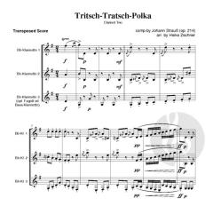 Tritsch-Tratsch-Polka von Johann Strauss (Sohn) 