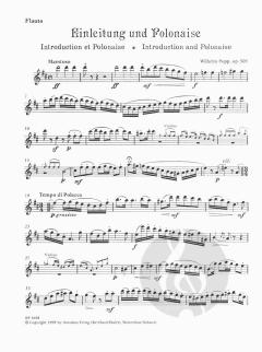 Jugend-Trios op. 505 (Wilhelm Popp) 