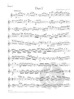 6 Duos für 2 Flöten op. 17 Heft 1 von Joseph Haydn im Alle Noten Shop kaufen
