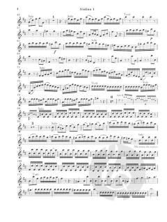 Concerto in h-moll op. 3/10 (Antonio Vivaldi) 