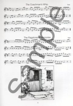 Traditional Irish Flute Solos von Vincent Broderick 