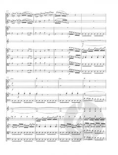 Concerto in G-dur von Domenico Cimarosa für 2 Flöten und Orchester im Alle Noten Shop kaufen (Partitur)