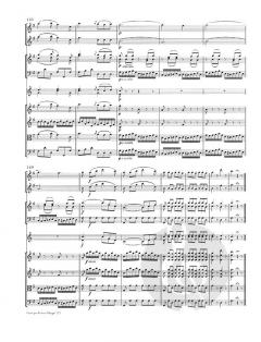 Concerto in G-dur von Domenico Cimarosa für 2 Flöten und Orchester im Alle Noten Shop kaufen (Partitur)