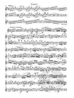 3 Duos op. 62 von Andreas Jacob Romberg für zwei Querflöten im Alle Noten Shop kaufen