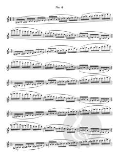 Violintechnik op. 1/3 von Otakar Ševčík im Alle Noten Shop kaufen