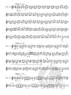 Otakar Sevcik: Violin Studies - 40 Variations Op. 3 von Otakar Ševčík im Alle Noten Shop kaufen