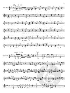 Otakar Sevcik: Violin Studies - 40 Variations Op. 3 von Otakar Ševčík im Alle Noten Shop kaufen