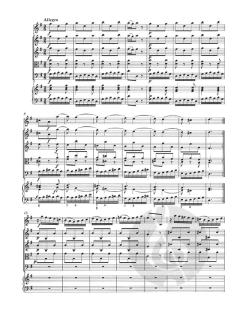 Concerto G-Dur op. 3/3 RV 310, PV 96 (Antonio Vivaldi) 