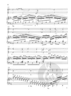 Premier Grand Trio op. 105 (Carl Czerny) 